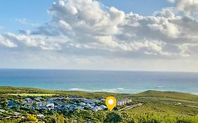 Surfpoint Resort